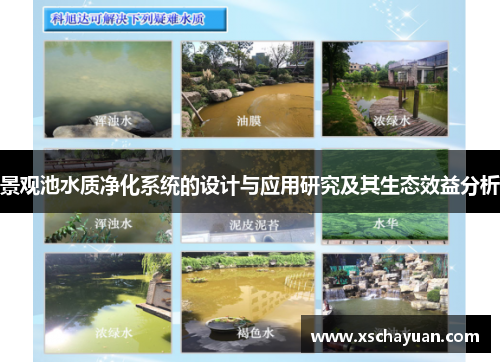 景观池水质净化系统的设计与应用研究及其生态效益分析
