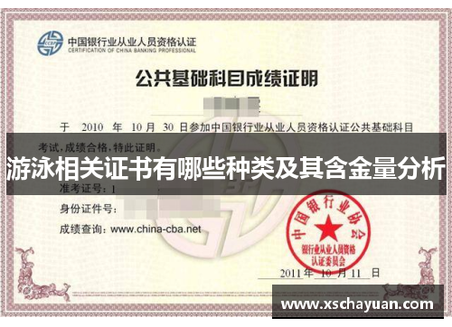游泳相关证书有哪些种类及其含金量分析