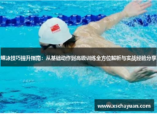 蝶泳技巧提升指南：从基础动作到高级训练全方位解析与实战经验分享