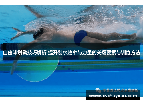 自由泳划臂技巧解析 提升划水效率与力量的关键要素与训练方法